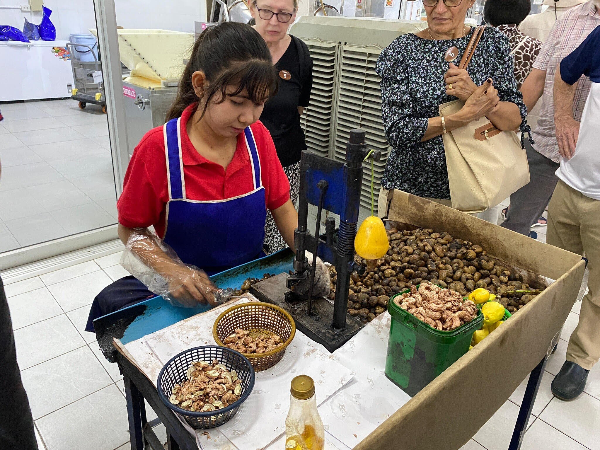 Phuket Cultural City Tour: Hidden Gems & Heritage Phuket Cultural City Tour: Hidden Gems & Heritage